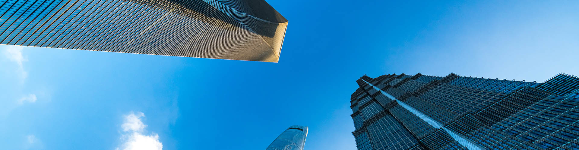 行業(yè)動態(tài)